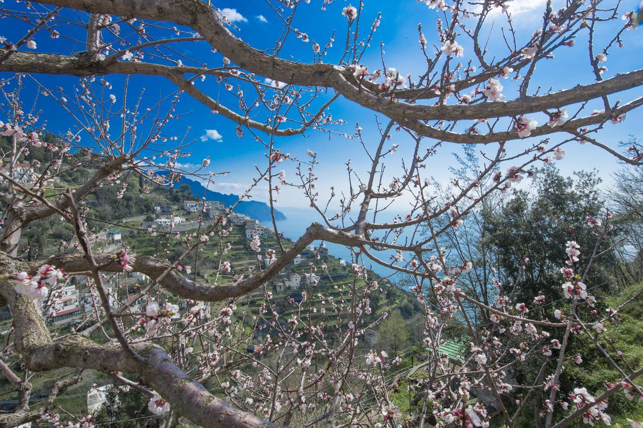 Ferienwohnung Casa Pina Amalfi Exterior foto