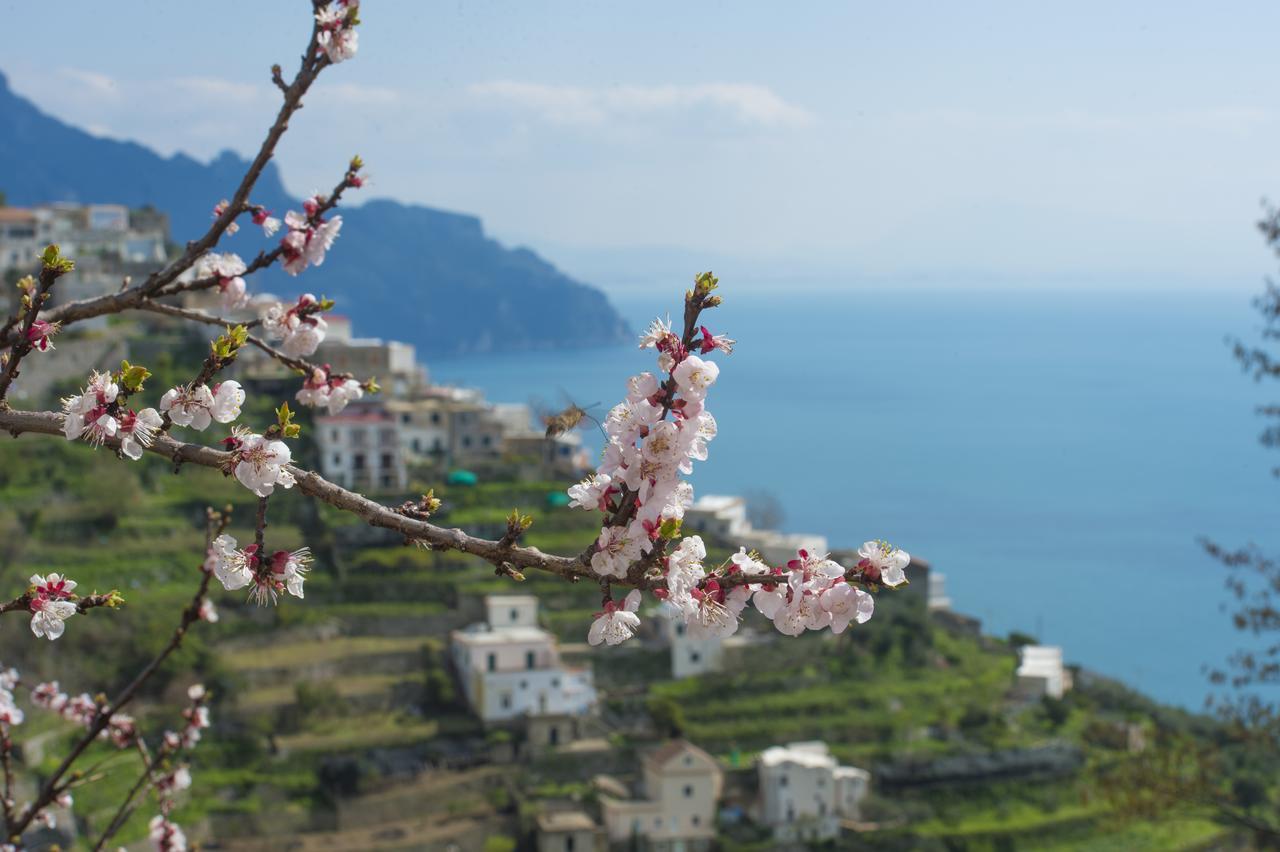 Ferienwohnung Casa Pina Amalfi Exterior foto