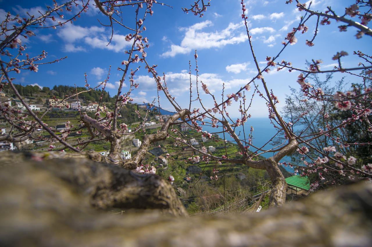 Ferienwohnung Casa Pina Amalfi Exterior foto